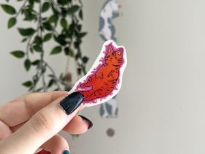 Magic cat