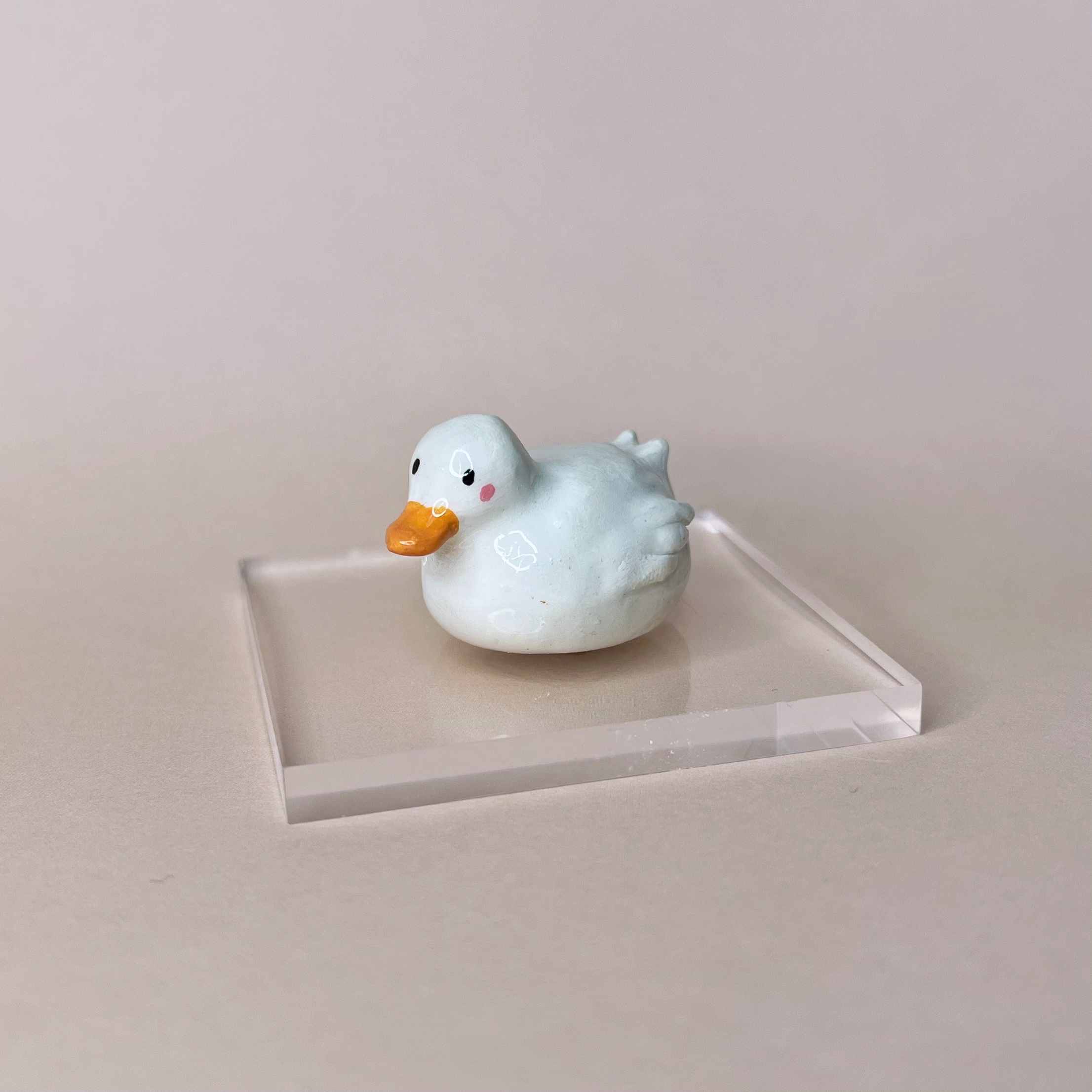 Canard – Image 2