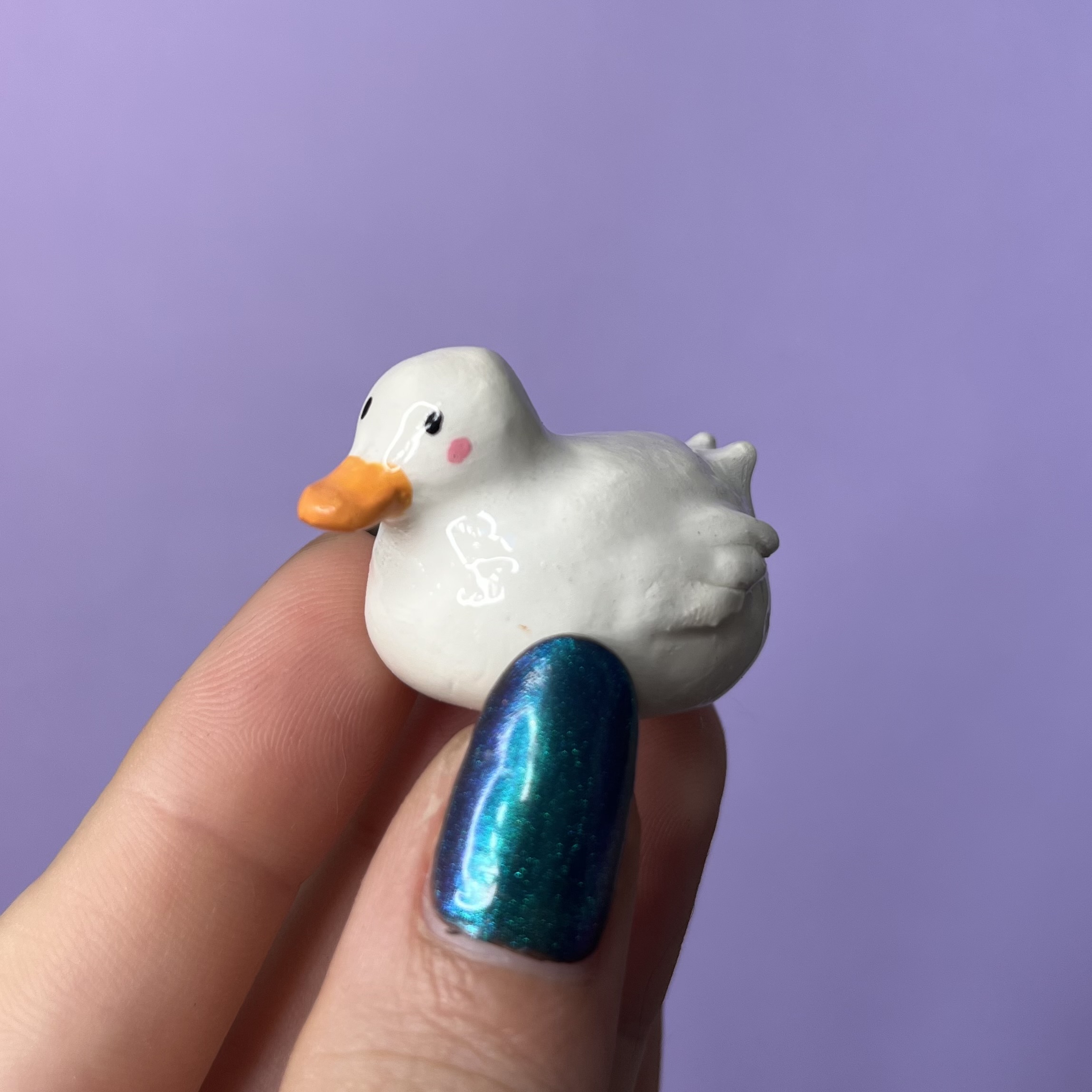 Canard