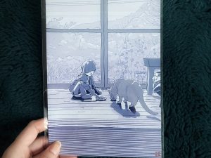 Cat at the Window