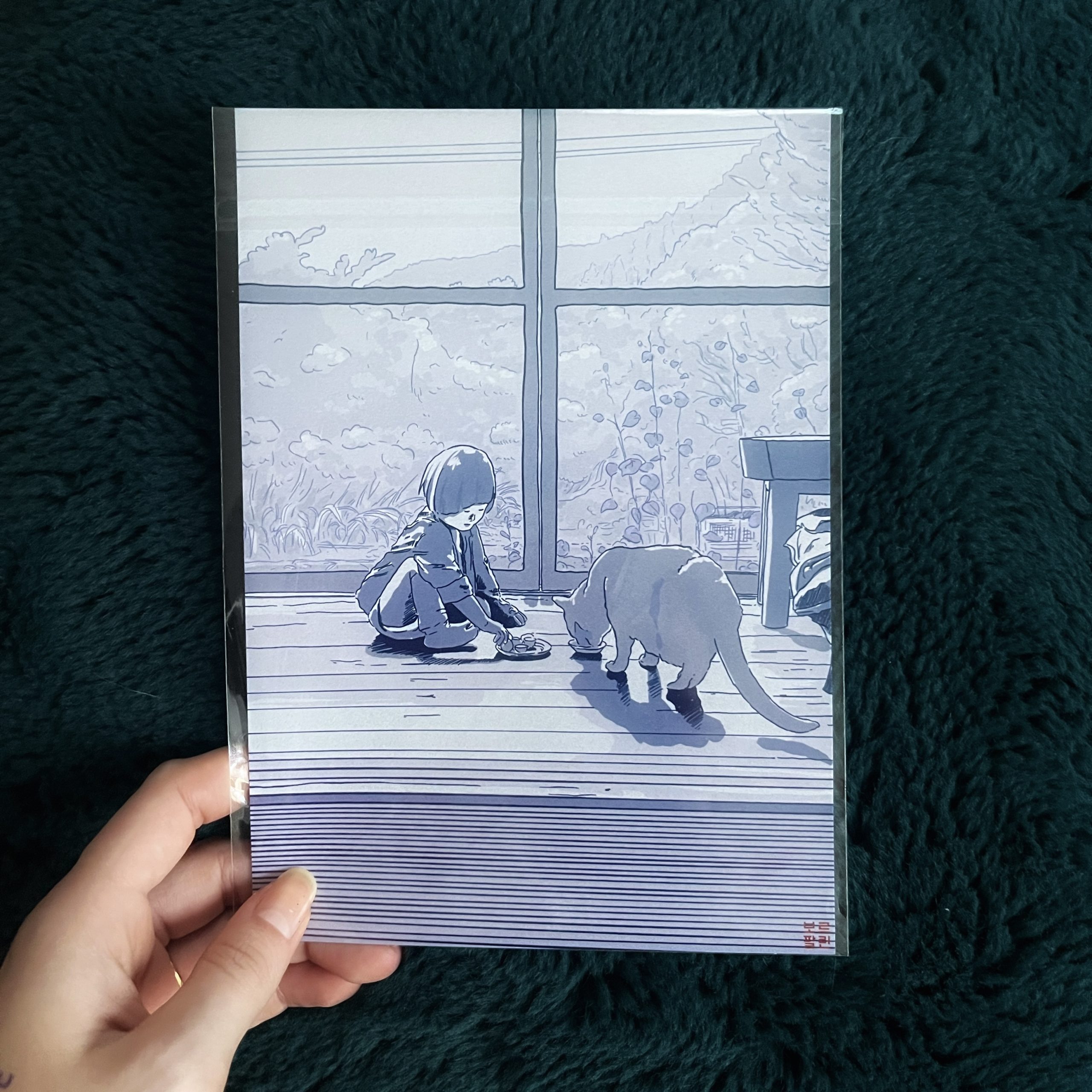 Cat at the Window
